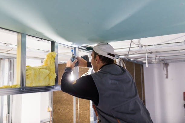Best Soundproof Insulation Installation  in Clearwater, SC