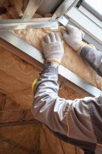 Attic Insulation Near Me in Clearwater, SC