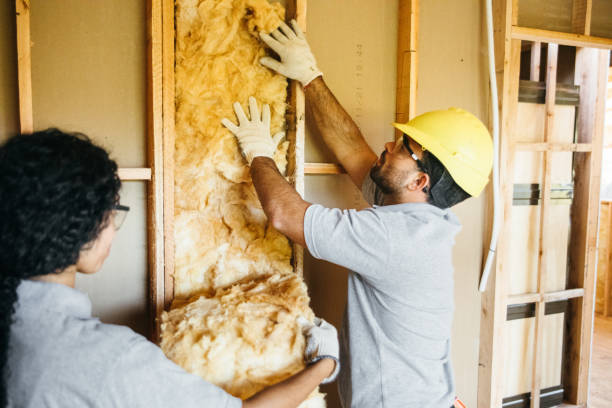 Best Local Insulation Services  in Clearwater, SC