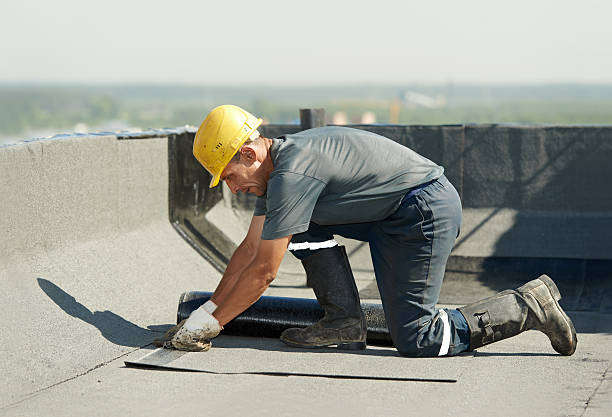 Best Energy-efficient Insulation  in Clearwater, SC